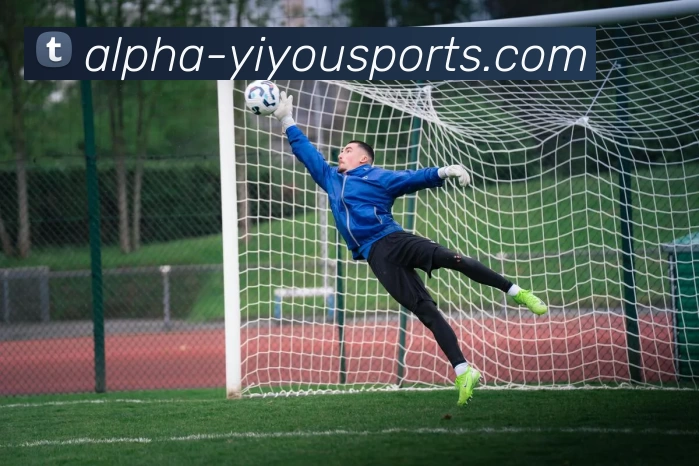 易游体育发展历程